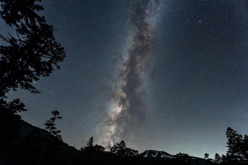 Group of people stargazing